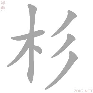 杉意思|杉 (注音:ㄕㄢ 部首:木) 